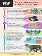 Infografía Organismo y Ambiente