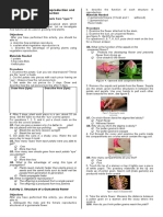 Differentiating Asexual Reproduction and Sexual Reproduction