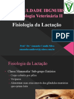 Aula 10 - FISIOLOGIA DA LACTAÇÃO