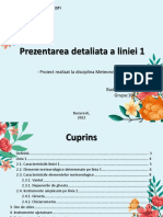 5 Prezentarea Liniei 1