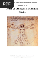 Anatomia - Tui Na