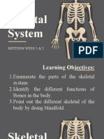 Skeletal System Week 1 3