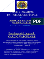 Aps Cardiovasculaire