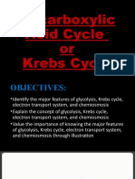 2Q Week 4 Lesson 2 Krebs Cycle