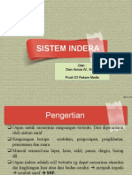 Sistem Indera Anfis