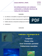 07 Prevención de Colisiones Con Cetáceos