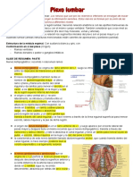 Plexo Lumbar