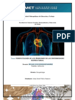 Fisiopatología de Los Síndromes de Las Enfermedades Respiratorias