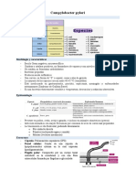 Campylobacter Pylory-E