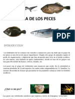 Biologia de Los Peces