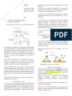 Tema 2 Eccesa o Dermatitis