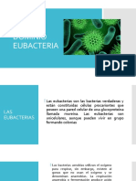 Dominio Eubacteria