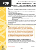 Labour+and+Birth.+Routine+care+in+normal+labour+ Birth PPG V1 1