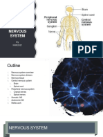 Chapter 2 - Nervous System NHR 2021