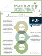 Linea de Tiempo TPC IV - NIIF Argentina