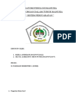 Tugas Anatomi Fisiologi Manusia Sistem Persyarafan-1