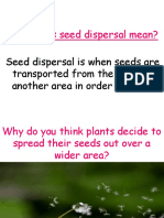 Seed Dispersal Powerpoint