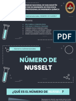 Exposición-Números Adimensionales