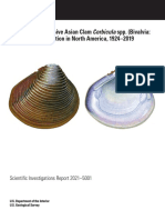 Review of The Invasive Asian Clam Corbicula Spp. (Bivalvia: Cyrenidae) Distribution in North America, 1924-2019