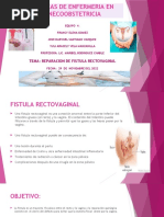 Reparacion de Fistula Rectovaginal