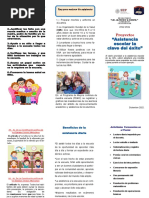 Triptico Proyecto