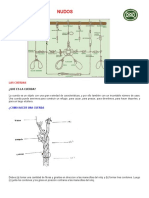 Nudos-Especialidad Desarrollada