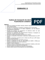 Seminario 13 - Cadena de Transporte de Electrones. Fosforilación Oxidativa - 2019