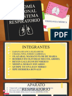 Anatomia Del Sistema Respiratorio