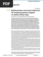 Rapid and Low Cost Insect Detection For Analysing Species Trapped On Yellow Sticky Traps