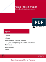 Sesión 9 - Autorregulación Emocional y Automotivación