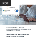 Plantilla de Un Proyecto Machine Learning en R y Python