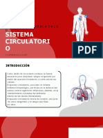 Sistema Circulatorio