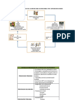 Actividad Cadena Epidemiologica