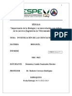 Informe N°1