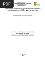 Relatório - Lapassion em Rede Metodologia Brampssol