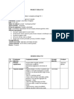 Proiect Didactic Examen