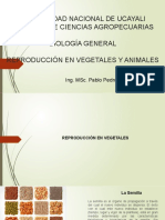 Clase13-Reproducción en Vegetales y Animales