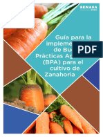 Guía BPA Zanahoria PDF