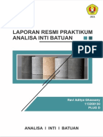 Laporan Resmi AIB - Plug D - Ravi Aditya Ghassany - 113200130 - Fix