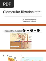 Glomerular Filtration Rate