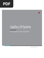 Capillary Lift Systems