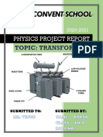 Physics Project Report