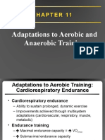 Chapter 11 Adaptations To Aeribic and Anaerobic Training