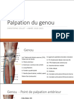 04 ERF - Palpation Genou