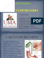 Calculos Biliares