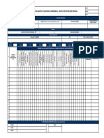 Registro EPP Individual (Modelo 1)