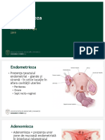 X 6. Endometrioza - Nemescu - 2019