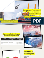 Empresa Comercial Exportadora e Trading Company - André - Camila