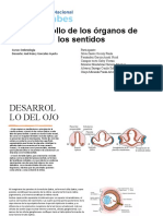 Desarrollo de Los Órganos de Los Sentidos