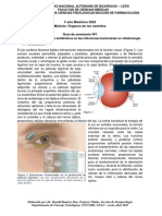 Guía #1 Sem V Med Infecciones Bacterianas Oftálmicas 2022